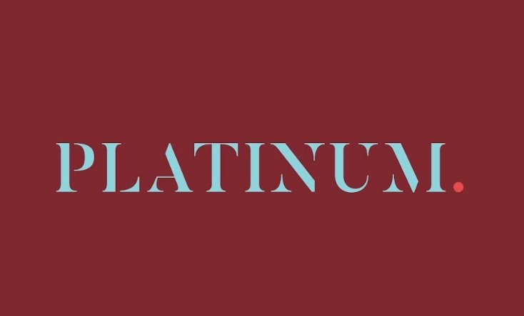 Platinum Industries Ltd. Eyes Global Acquisition, To Consider Fundraising to Fuel Expansion